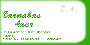 barnabas auer business card