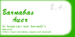 barnabas auer business card